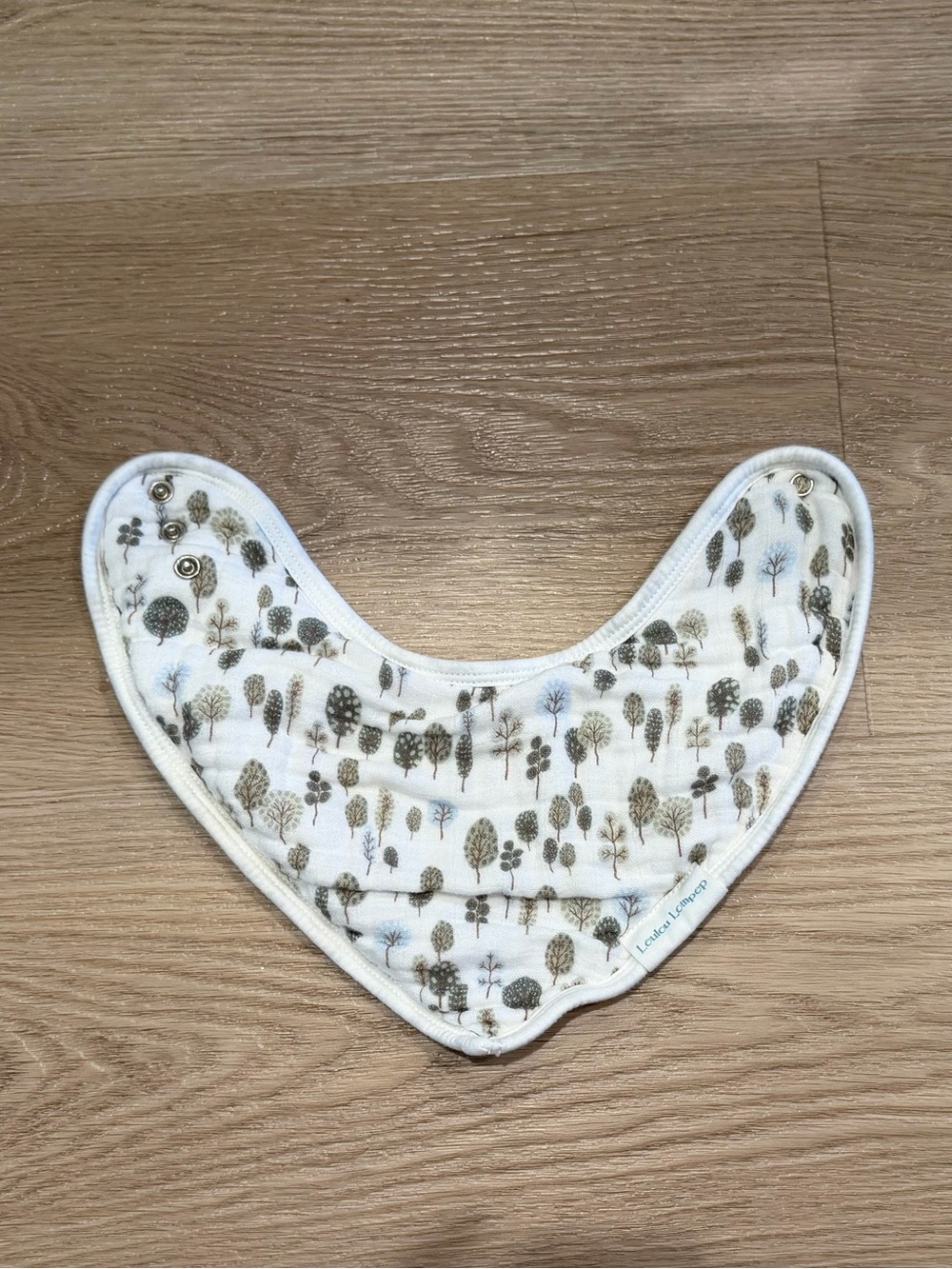 Loulou Lollipop Bib